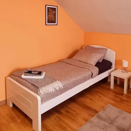 Apartmaji Medved, Brezplacno Parkiranje Ljubljana Exterior photo